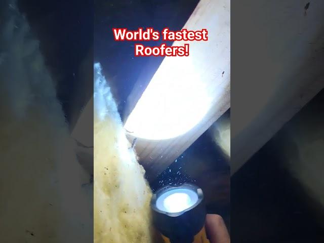 World's Fastest Roofers