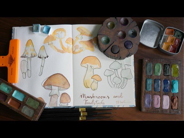 The most MAGICAL and enchanted HANDMADE WATERCOLOURS.  By Rabitts hat