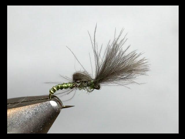 Pursuing Brown Trout dry fly fishing (CDC Shuttlecock Emerger #16) River Dee 13.4.2018 VCAC