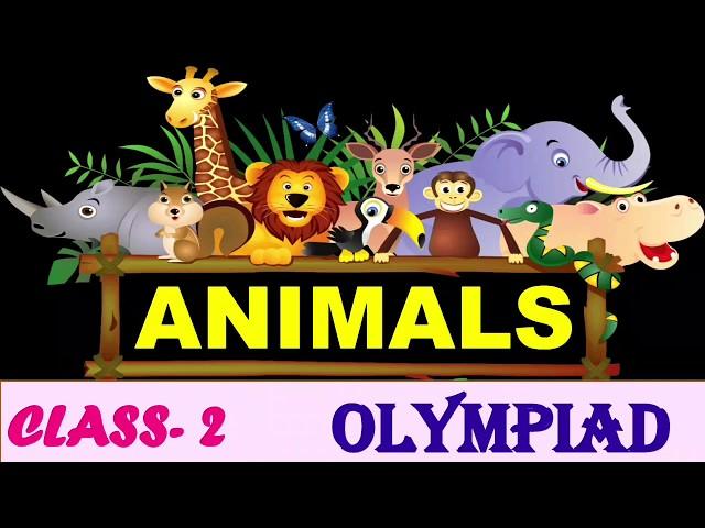 GK | Quiz on animals | IGKO | GK Olympiad