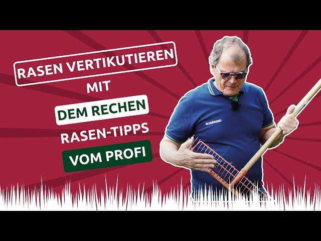 Einfach vertikutieren mit dem Rechen  Rasen-Tipps vom Profi 