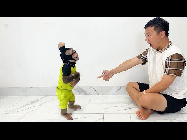 OMG! Cubis Monkey Gets Caught Red-Handed By Dad Pretending To Be A Thief!