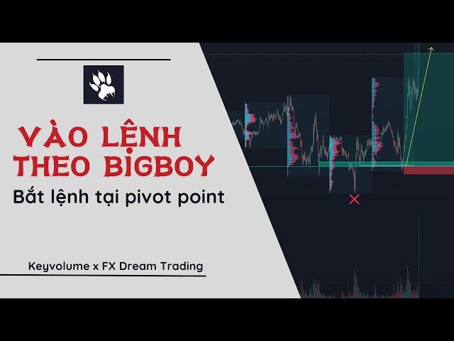 #1. Hướng dẫn vào lệnh chuẩn theo Bigboy tại điểm xoay chiều của giá | keyvolume | FX DREAM TRADING