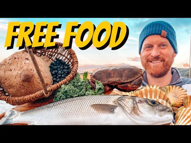 Coastal Foraging - Fish (Bass), Crab, Plus Wild Edibles & A Cook Up 