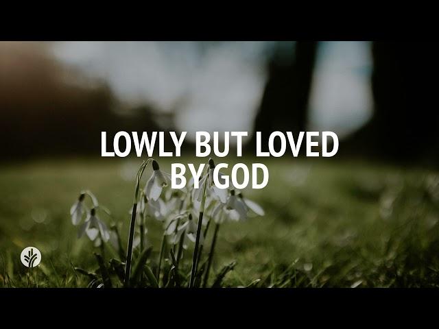 Lowly but Loved by God | Audio Reading | Our Daily Bread Devotional | February 3, 2025