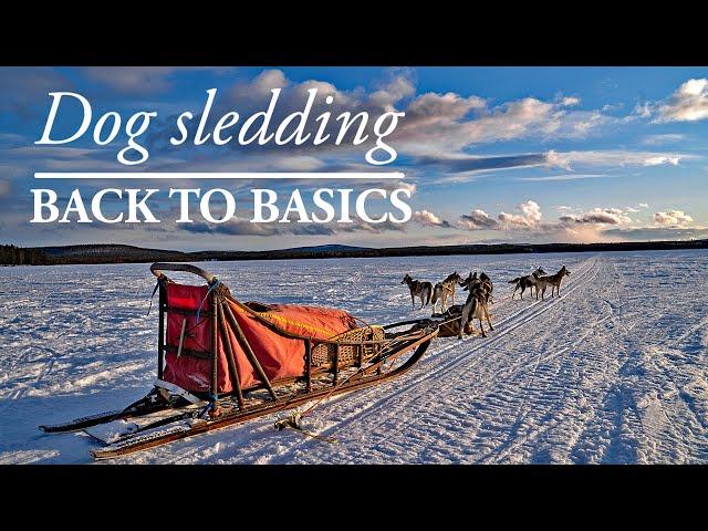 Dog Sledding BACK TO BASICS