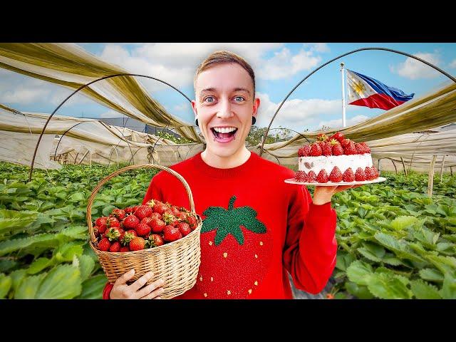 I Tried EVERYTHING in the Philippines Strawberry Capital! 