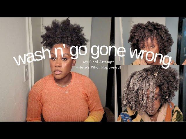 4C Hair Reality Check: My FINAL Attempt at a Wash 'N Go— Spoiler Alert: Twist-Out Wins Again!