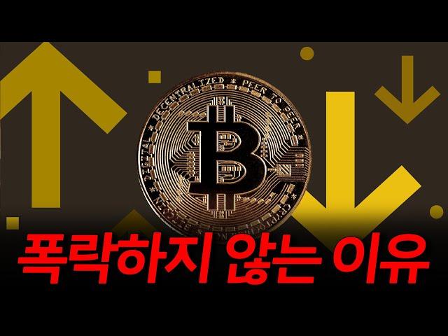 폭락하지 않은 이유