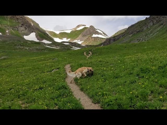 Hiking Columbine Lake San Juan National Forest Colorado