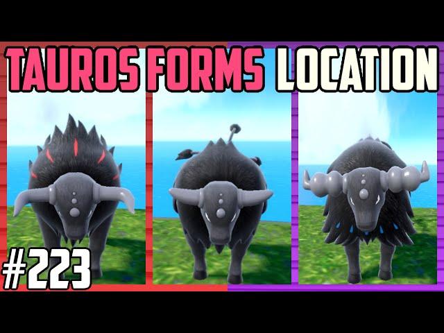 How to Catch Paldean Tauros - Pokemon Scarlet & Violet