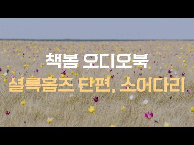 [오디오북] 셜록홈즈 소어다리 | 책낭독 | 책읽어주는 여자