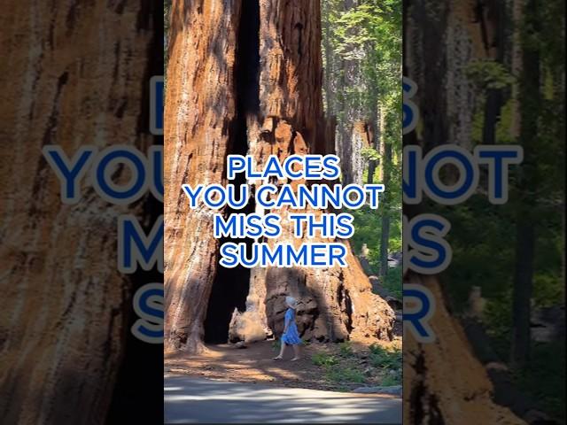 6 Magical Spots in Sequoia National Park  Underrated California Gem #sequoianationalpark #travel