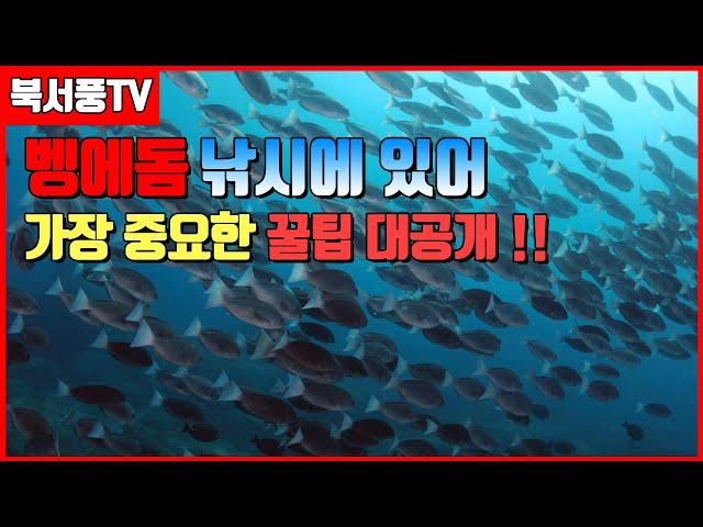 북서풍TV]벵에돔 낚시에 가장중요한 꿀팁 공개/이것만 알고 가도 70%프로 이상 확률
