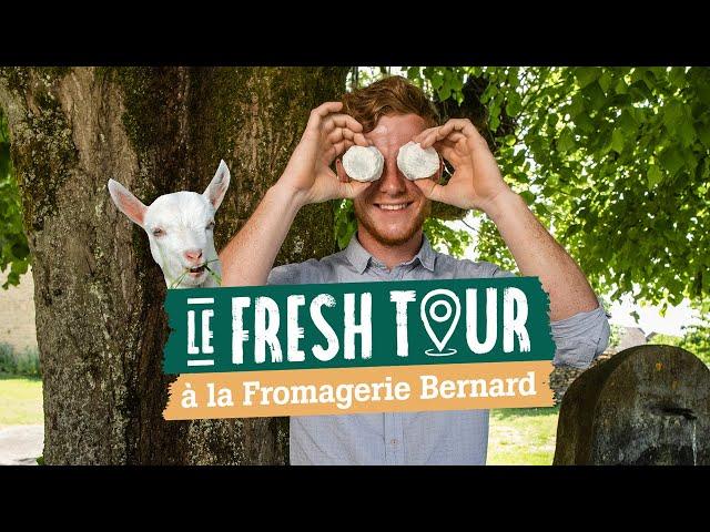 Producteur local de Charolais AOP et de Saint-Vincent AOP [Le fresh. tour : fromagerie Bernard]