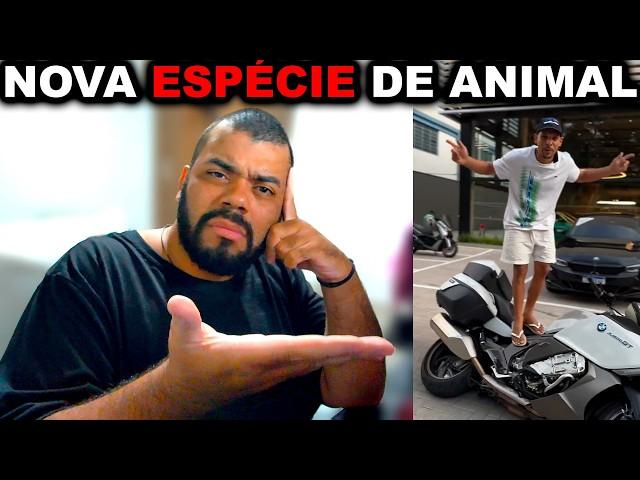 Nova espécie de ANIMAL no Bostil