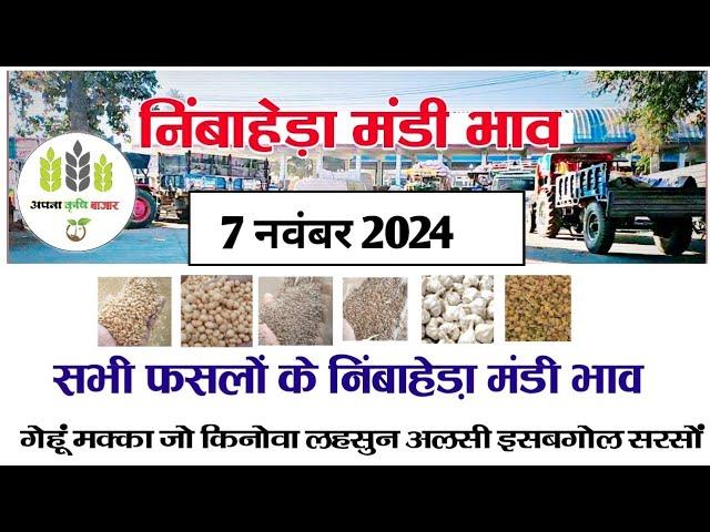 आज 07 नवंबर 2024 के सभी फसलों के निंबाहेड़ा मंडी भाव|Nimbahera mandi bhav today 07 November 2024