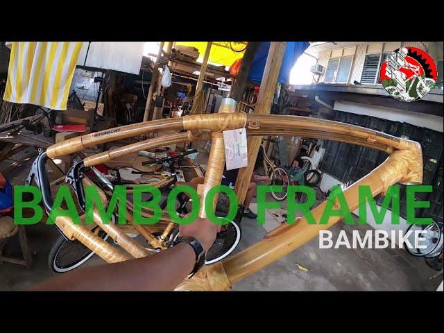 BAMBOO BIKE FRAME BY BAMBIKE