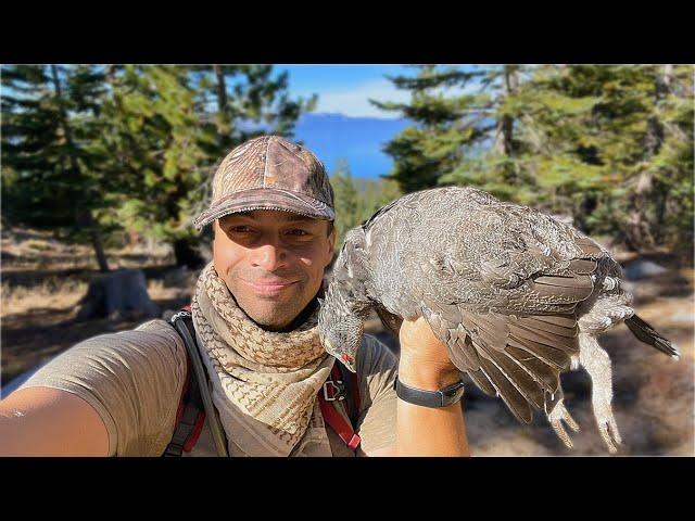 The sun & moon aligned for my 1st BLUE GROUSE!