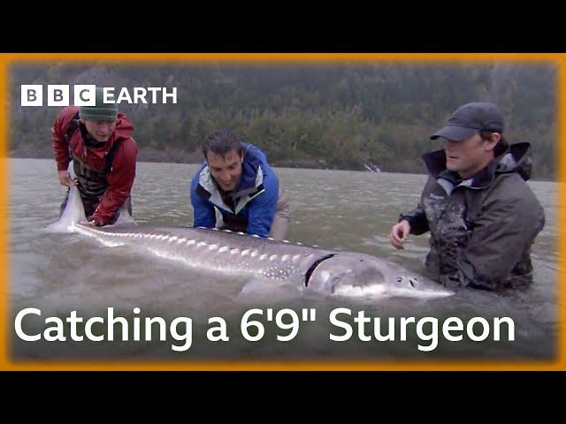 Biggest Catch EVER Brings Fisherman to Tears | Fishing Impossible | BBC Earth Explore