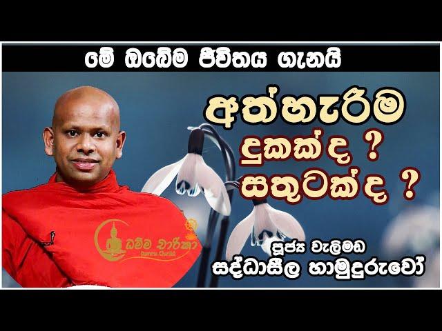 අත්හැරීම - මේ ඔබ ඇසිය යුතුම දේශණාවයි | Ven. Welimada Saddhaseela Thero | පූජ්‍ය වැලිමඩ සද්ධාසීල හිමි