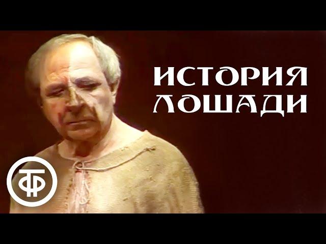 История лошади. По повести Льва Толстого "Холстомер". Постановка БДТ (1989)