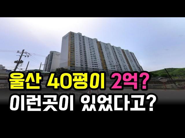 울산에서 가장 싼 40평대 아파트