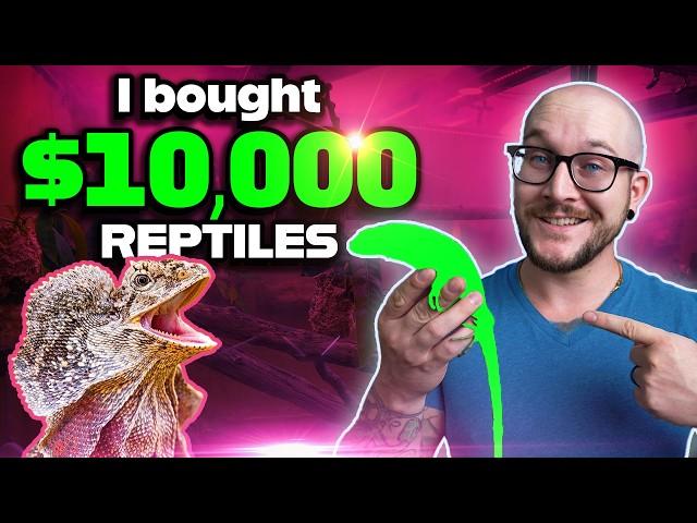 I've got over $10,000 in Reptiles... I Bet You Can't Guess Which Ones!