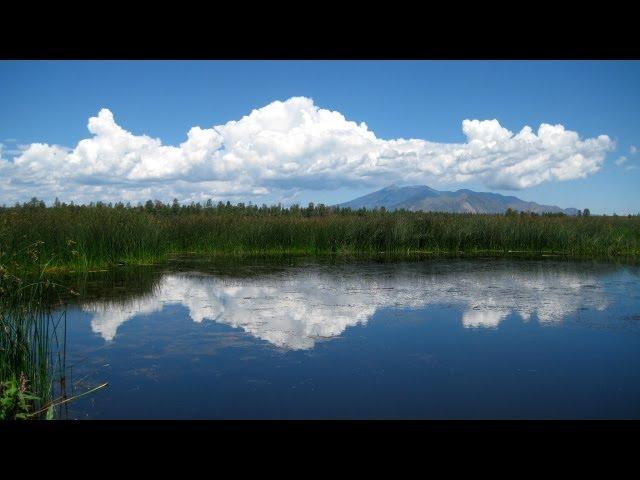 Anderson Mesa - Mormon Lake, Arizona - RV Camping