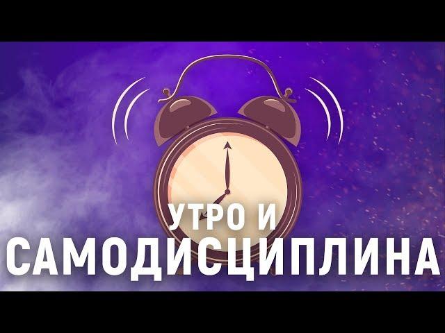 КАК СОН ВЛИЯЕТ НА СИЛУ ВОЛИ? Когда нужно просыпаться.