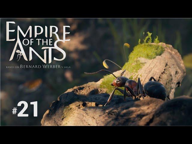 Empire Of The Ants PS5 - Part 21: Battle Of The Pinecones