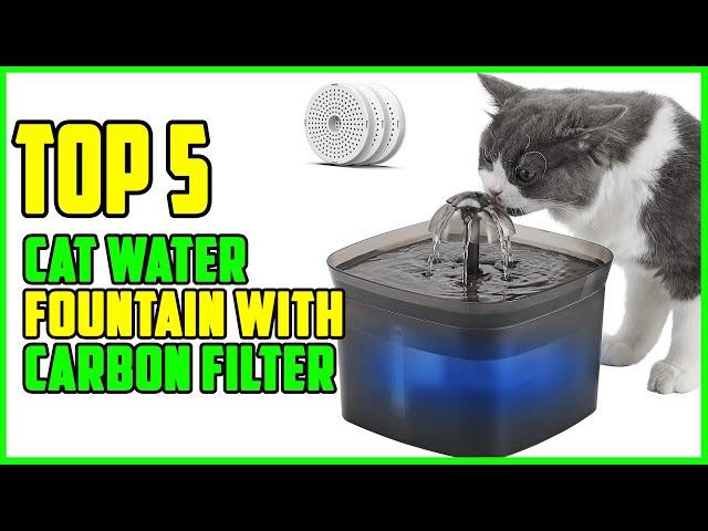 TOP 5: Best Cat Water Fountain with Carbon Filter 2022