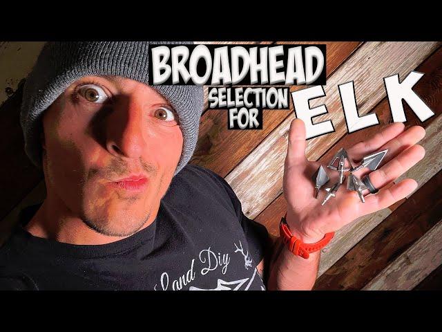 ALL Broadhead TUNING Questions Answered + Dan's 2022 FINAL ARROW SELECTION