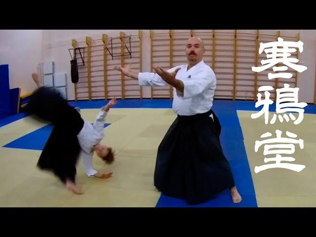 Aikido Practice Daily