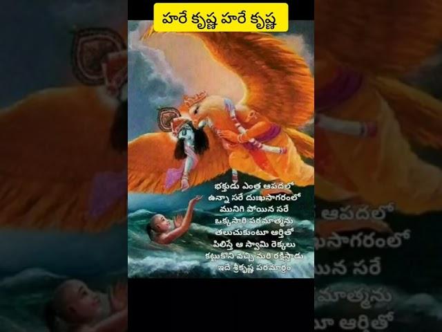 శ్రీ కృష్ణ పరమార్థం | Saru Thoughts| #shorts #telugushorts #devotional #margasiramasam