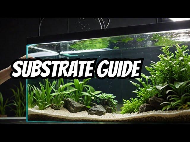 The BEST Aquarium Substrates (For YOU)