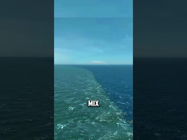 Where Two Oceans Meet But Don’t Mix  | The Mysterious Line in the Sea