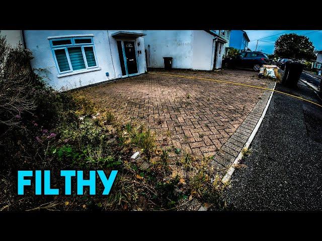 Pressure Washing this Overgrown Driveway and Dirty Patio!