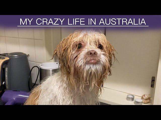 Vlog 1 # MY CRAZY LIFE IN AUSTRALIA