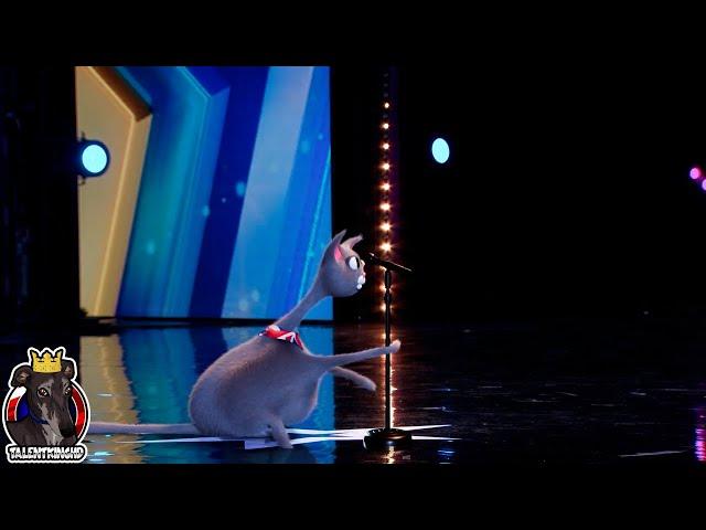 Noodle Singing Cat Full Performance | Britain's Got Talent 2023 Auditions Week 3