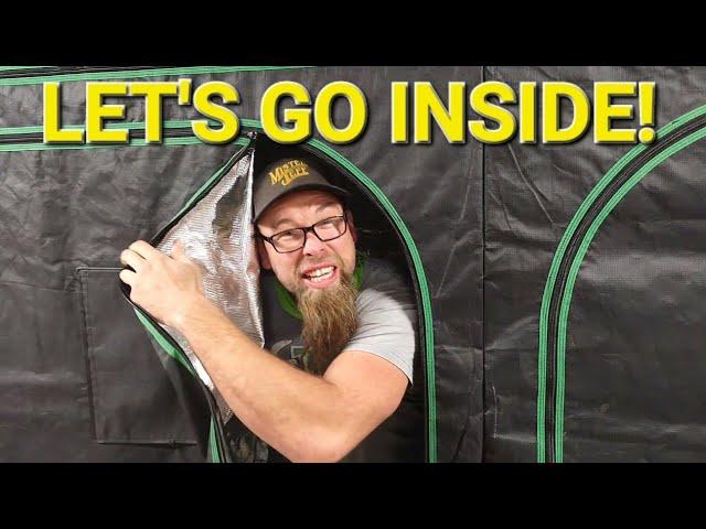 Grow Tent  Set-Up & Walk-Through! #mushroom #growing #tents