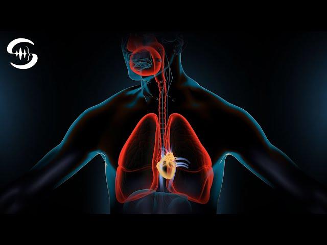 Clean Lungs Frequency - Heal Respiratory Diseases (Healing Frequencies) 83