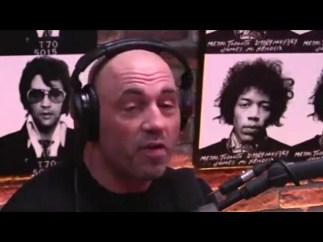 Joe Rogan Breaks Down Ronda Rousey Getting KO'd By Amanda Nunes - UFC 207