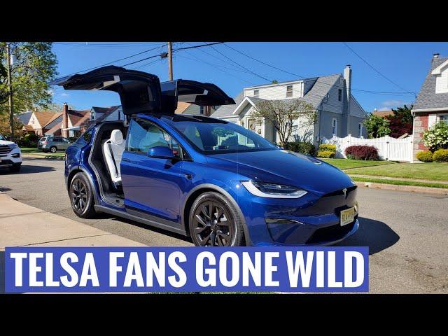 Have Tesla Fans Lost Their Minds?