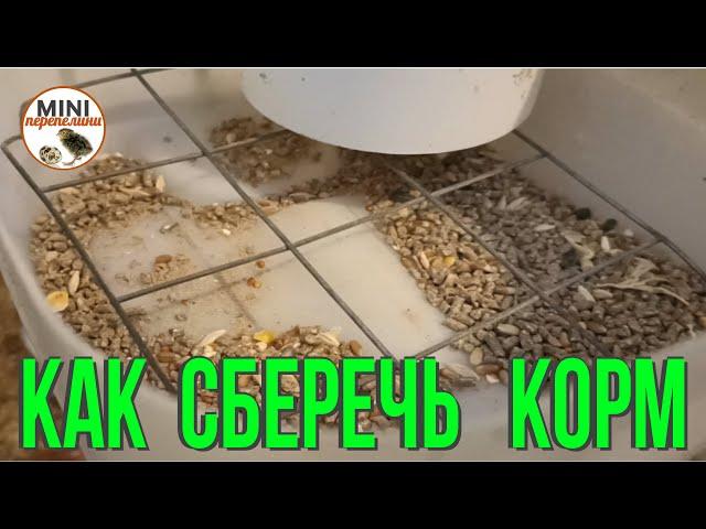 Как сберечь корм в кормушках.