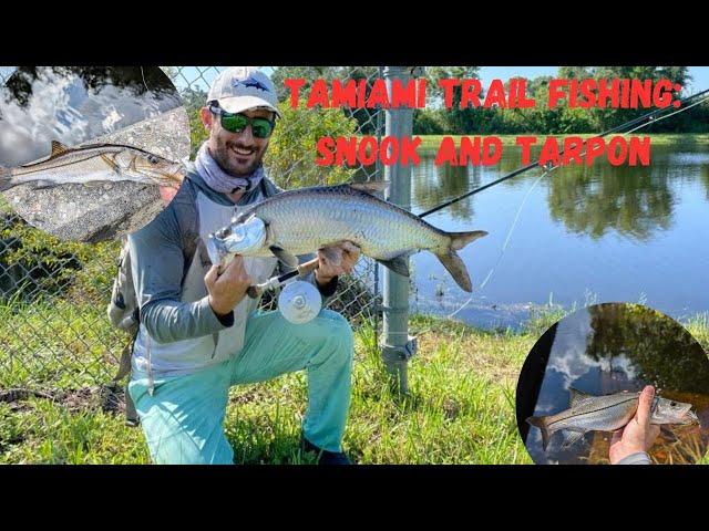 Fishing the Tamiami Trail in Southeast Florida