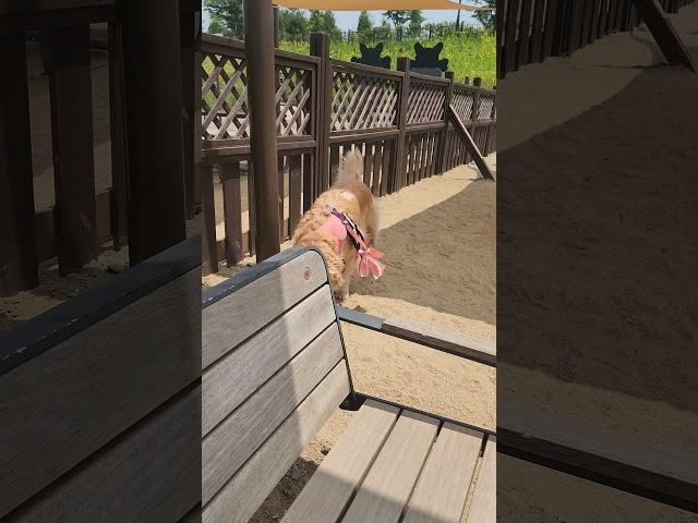  I LICKED THE SUN AND NOW I REGRET MY LIFE