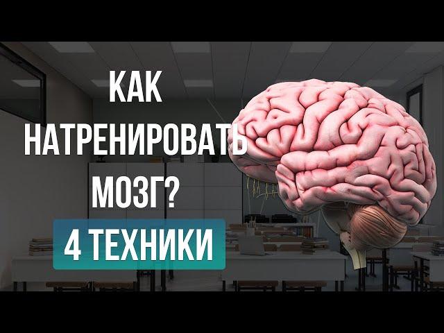 Как натренировать мозг? 4 техники