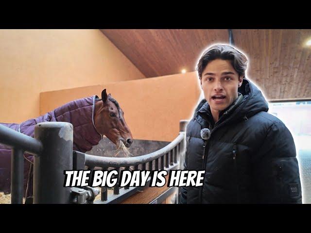 I MOVED MY HORSES TO ANOTHER STABLE