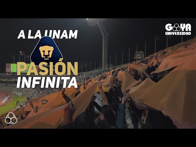 A La UNAM Pasión Infinita | Pumas vs Chivas | 2023